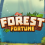 REVIEW – Hacksaw Gaming Forest Fortune