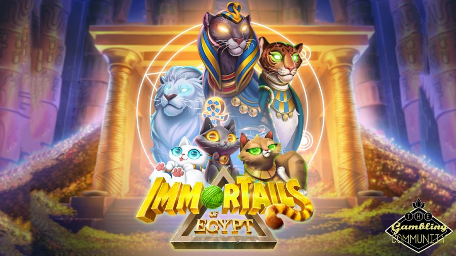 REVIEW – Immortails Of Egypt